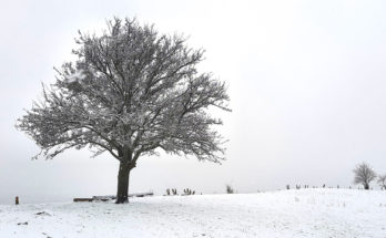 Amance sous la neige - 2020